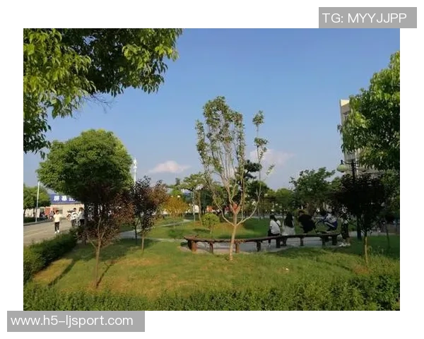 足球场上的肩膀与脚丫交织的梦想与激情之旅