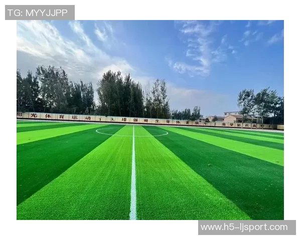 足球场散客的独特魅力与体验分享让每一场比赛都充满激情与欢乐